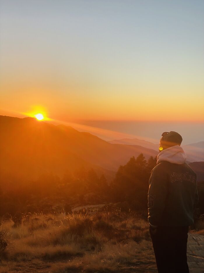 I Spent My Week Hiking The Ghorepani Poon Hill Route In Nepal With A Dog