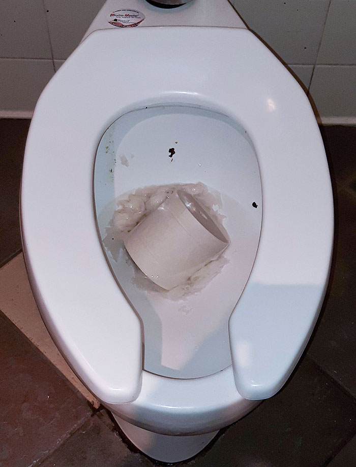 Who The Hell Wakes Up In The Morning And Thinks To Themselves: "I'm Gonna Throw An Entire Roll Of Toilet Paper Into The Toilet At A Public Restaurant"?