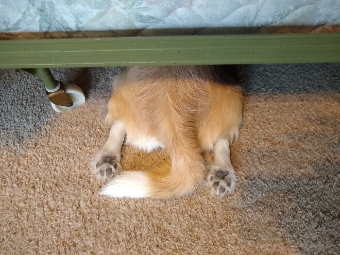 Luke Skywalker Likes Hanging Out From Under The Bed