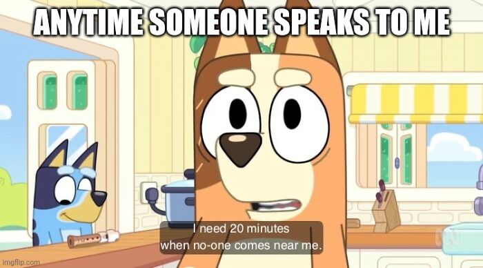 Memes I Look At At 6 Am When I Can't Go To Sleep