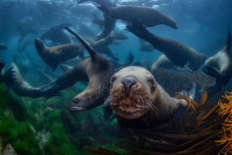 I Traveled To Moneron, A Small Volcanic Island Untouched By Man (10 Pics) I Traveled To Moneron, A Small Volcanic Island Untouched By Man (10 Pics)