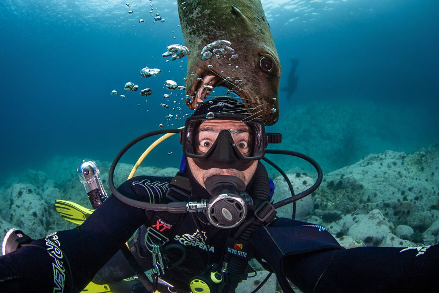 I Traveled To Moneron, A Small Volcanic Island Untouched By Man (10 Pics) I Traveled To Moneron, A Small Volcanic Island Untouched By Man (10 Pics)