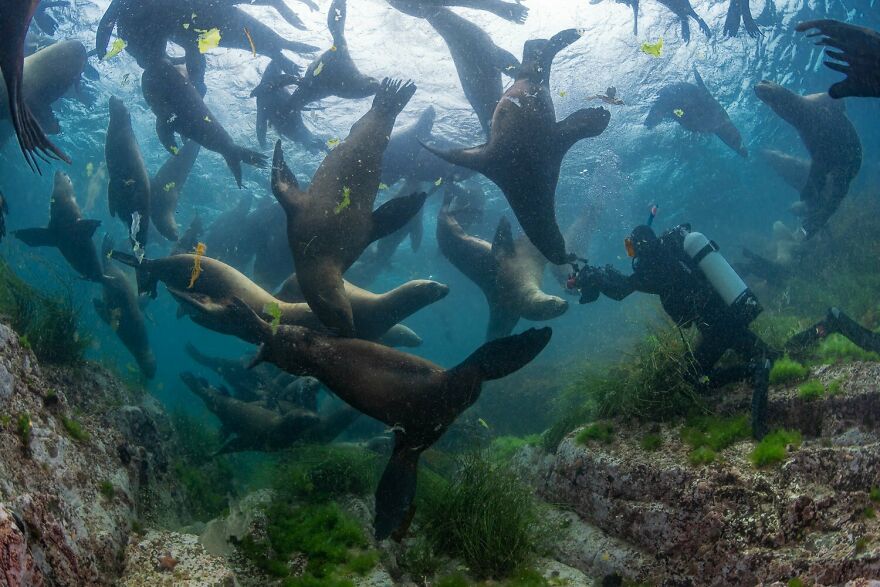 I Traveled To Moneron, A Small Volcanic Island Untouched By Man (10 Pics) I Traveled To Moneron, A Small Volcanic Island Untouched By Man (10 Pics)