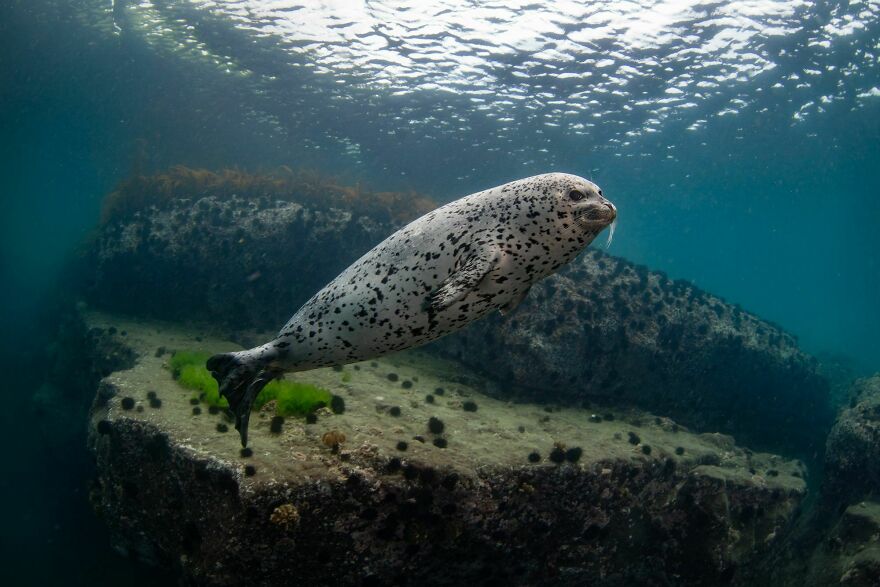 I Traveled To Moneron, A Small Volcanic Island Untouched By Man (10 Pics) I Traveled To Moneron, A Small Volcanic Island Untouched By Man (10 Pics)