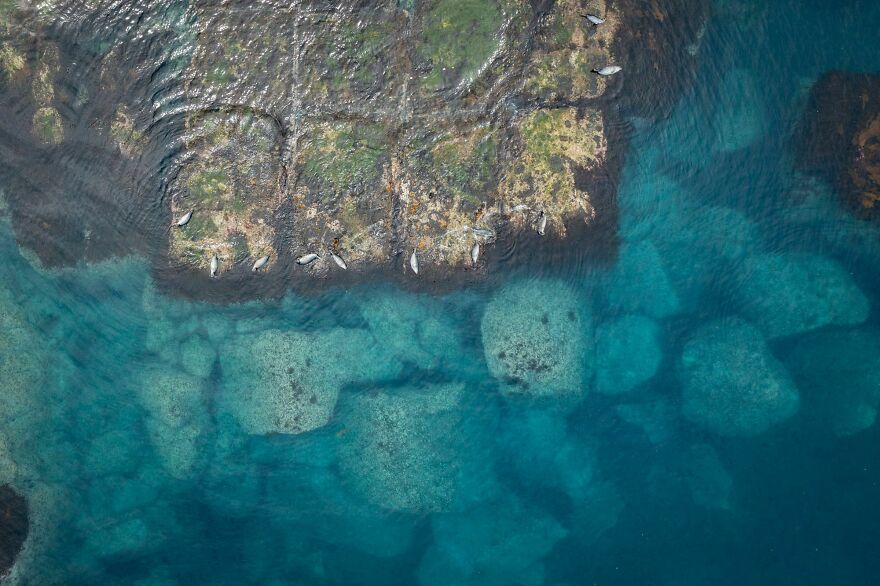 I Traveled To Moneron, A Small Volcanic Island Untouched By Man (10 Pics) I Traveled To Moneron, A Small Volcanic Island Untouched By Man (10 Pics)