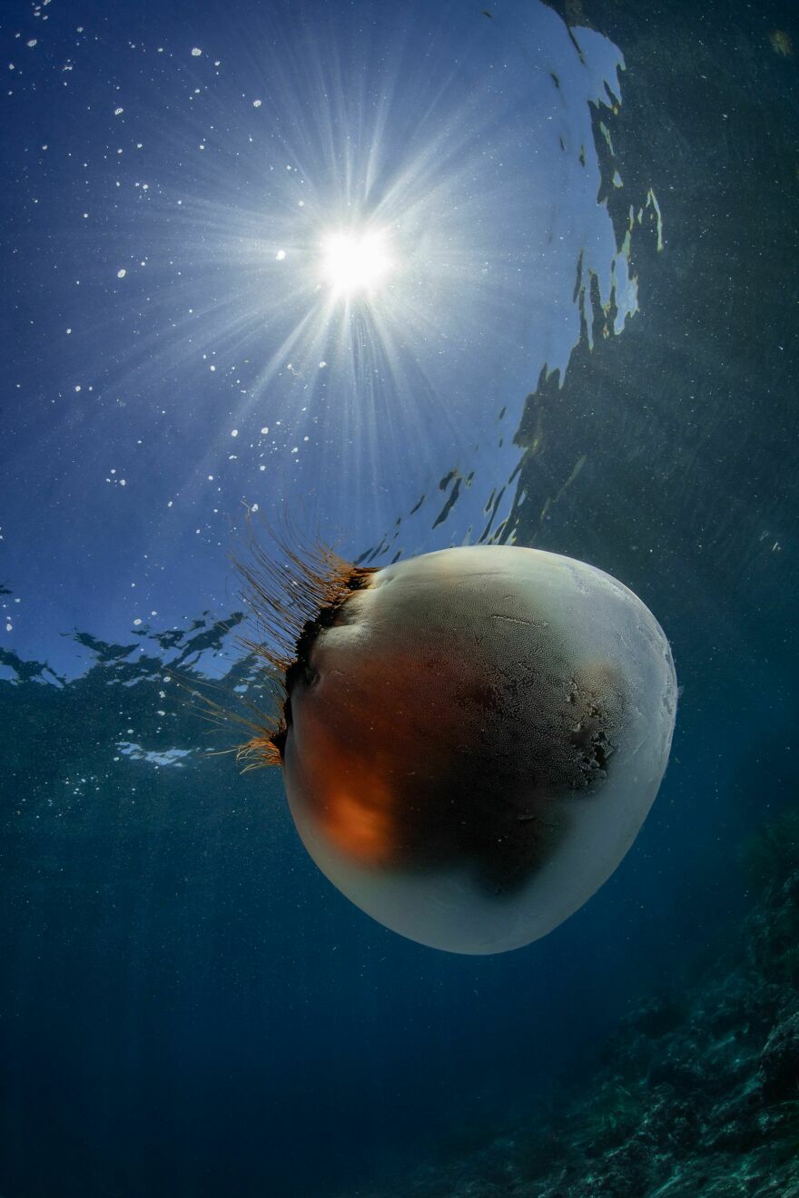 I Traveled To Moneron, A Small Volcanic Island Untouched By Man (10 Pics) I Traveled To Moneron, A Small Volcanic Island Untouched By Man (10 Pics)