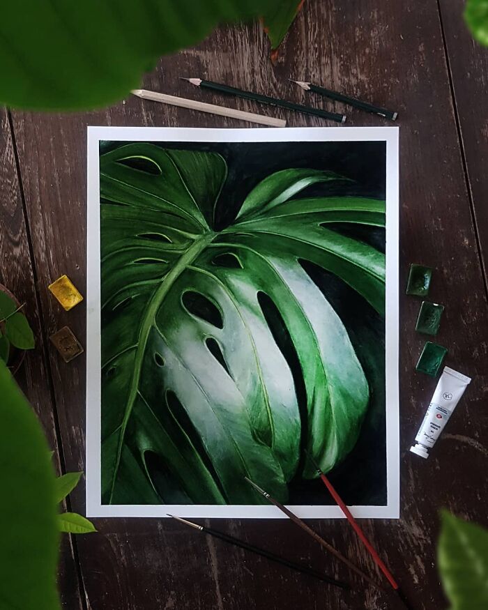 Monstera