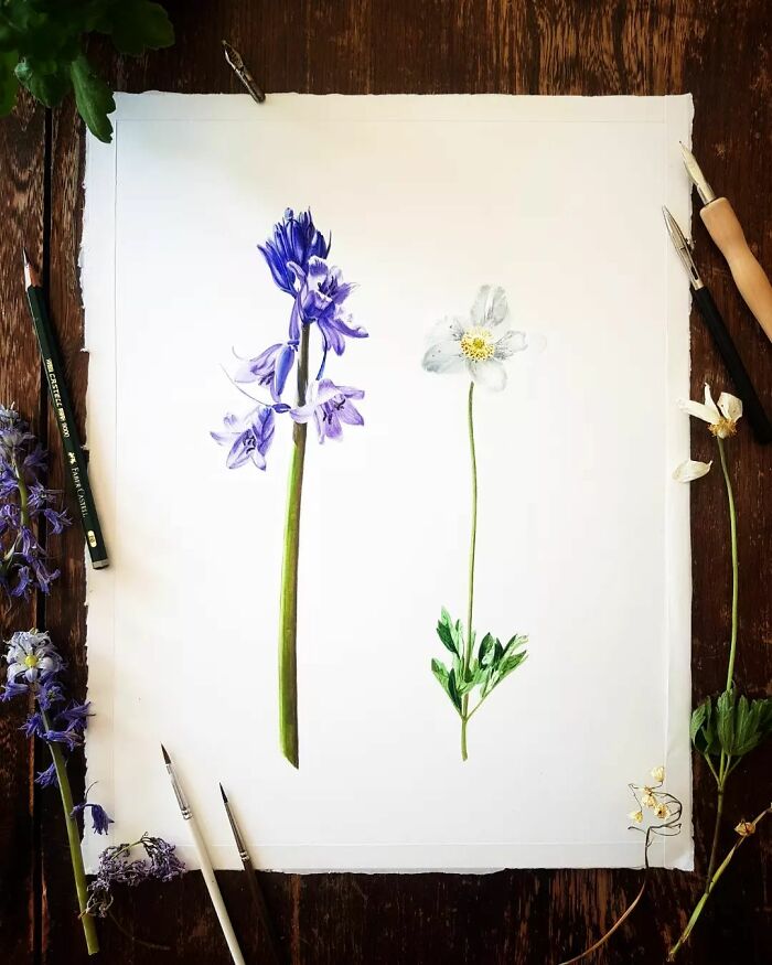 Two Flowers Of Summer