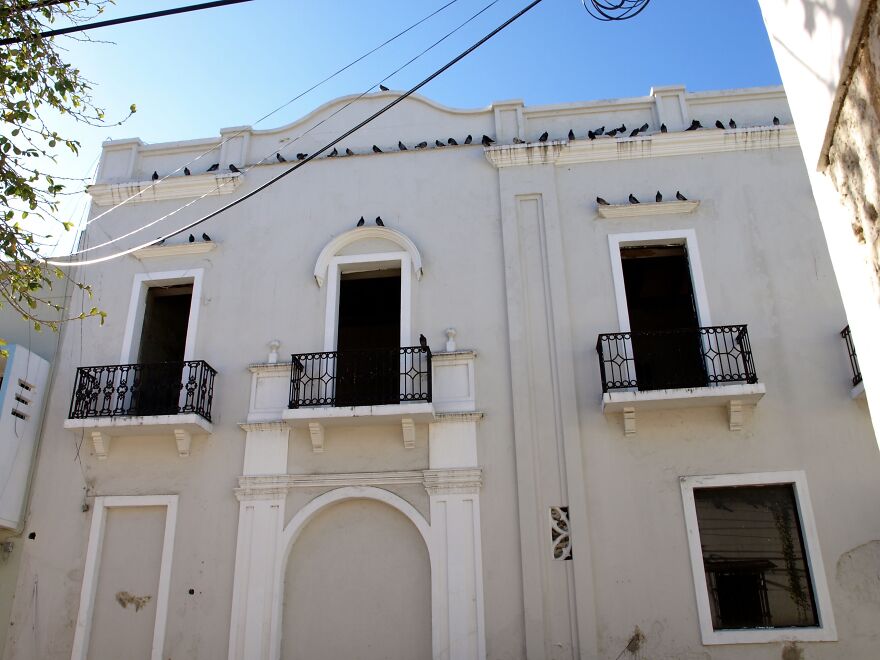 Pigeons Perched On The Facade Of A Colonial Building