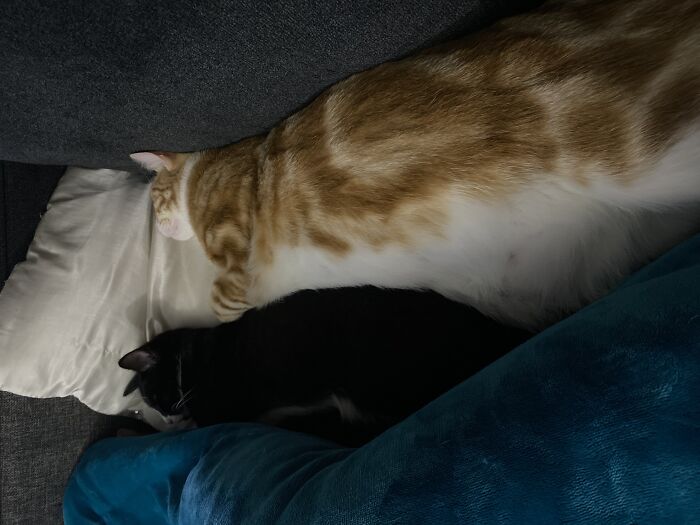 I’ll Go First 😂