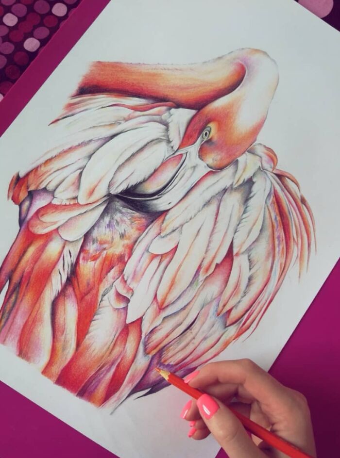 Coloured Pencil Art. 24+ Hours. (Final Work Of My Previous Post. )