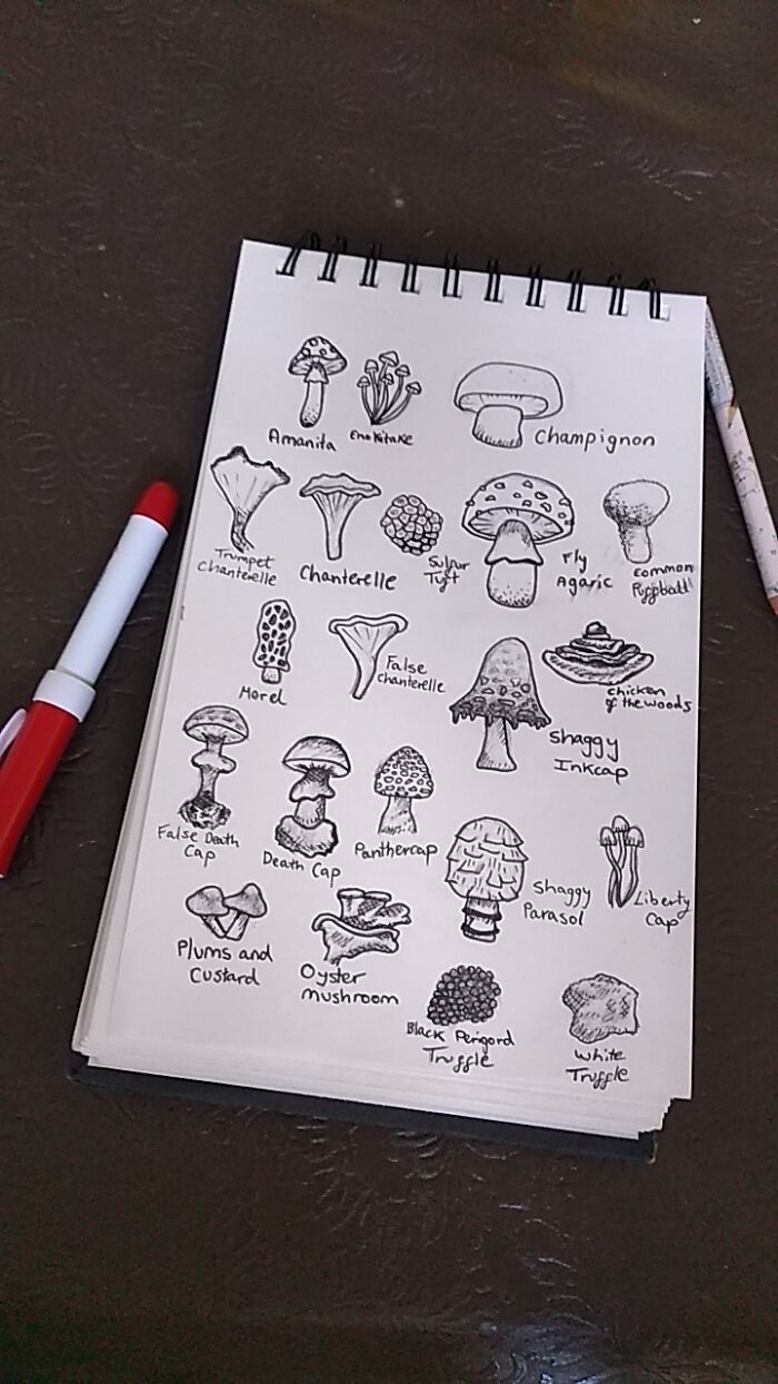 Not Rly An Artist But Drew Some Funky Mushrooms