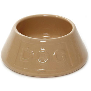 Spaniel-bowl-64230fe94fb97.jpg