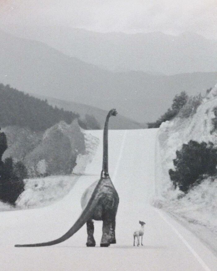 The Artwork Of Caitlyn Grabenstein (@cult.class)