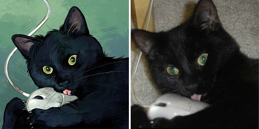 The Funniest Internet-Famous Cat Pics Get Illustrated By Catwheezie (New Pics)