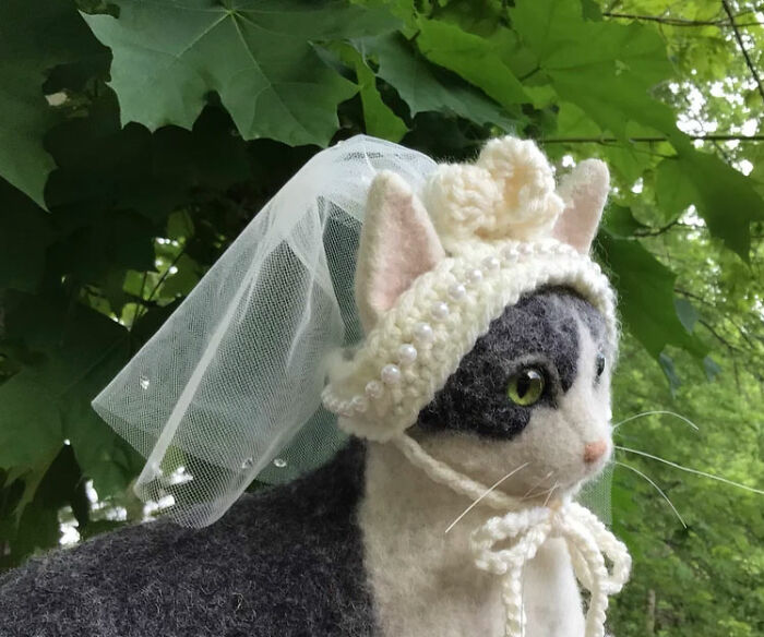 Cat Hats For Every Occasion: This Artist Crochets Funky Hats For Cats ...