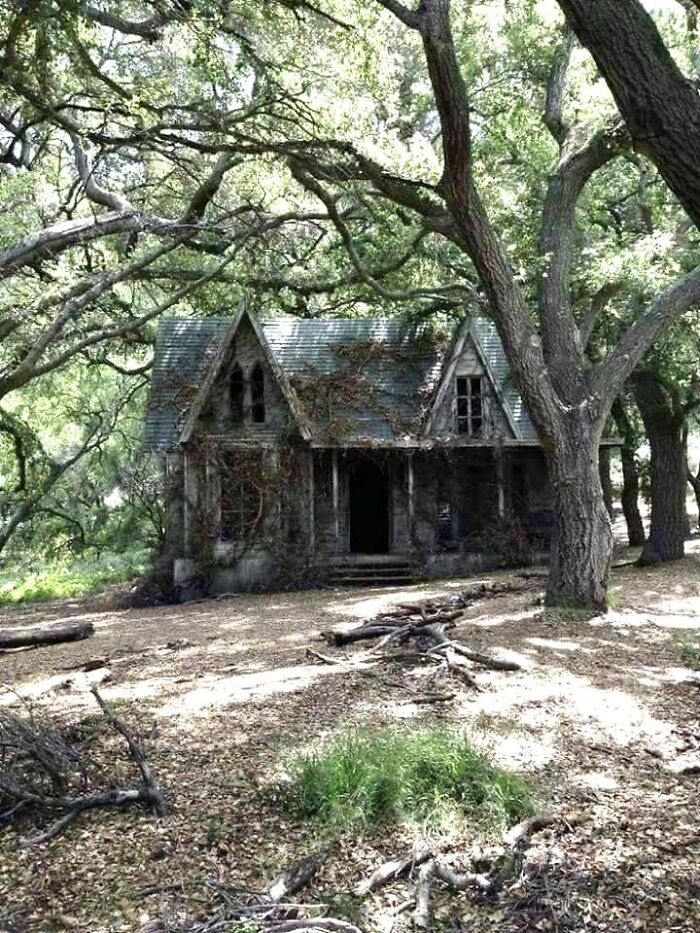 Abandoned House In The Forest