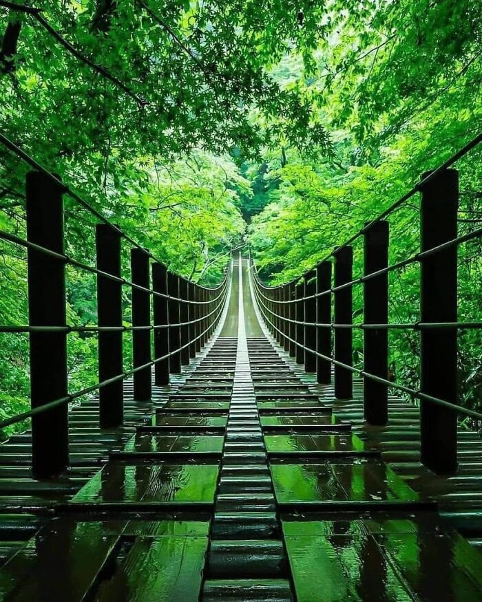 A Lovely Bridge In Japan