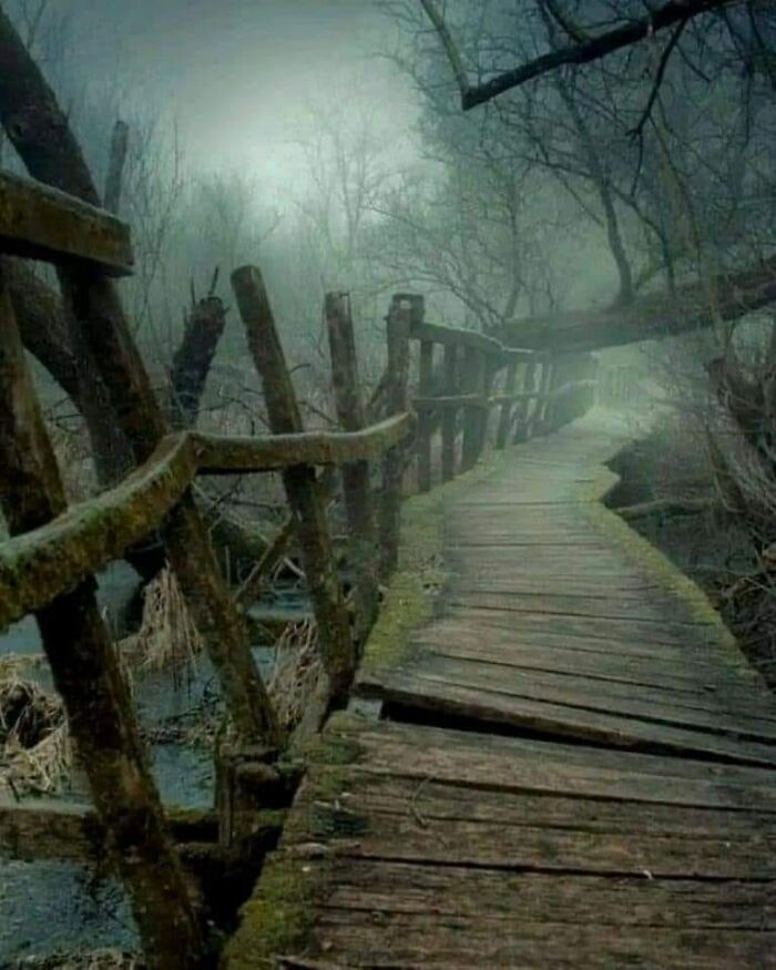 Creepy Trail In Vác, Hungary