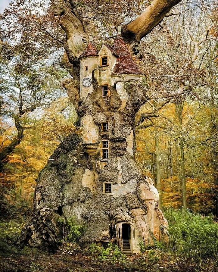 Tree House