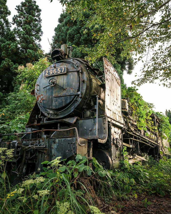 Viejo tren expreso abandonado tomado por la naturaleza