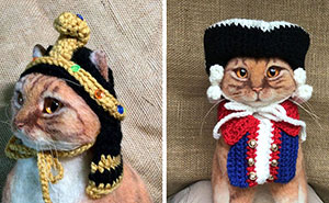 Cat Hats For Every Occasion: This Artist Crochets Funky Hats For Cats, And Here Are Her Best 38 Works
