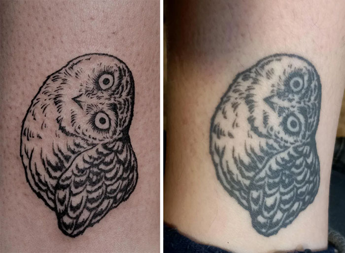 Aged owl tattoo comparison, showing changes over the years on skin.