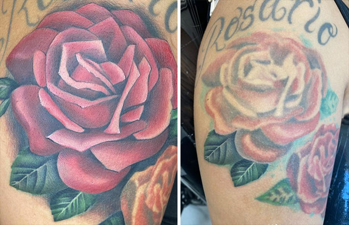 Aged tattoos: vibrant rose tattoo before and after years, colors faded and lines blurred.