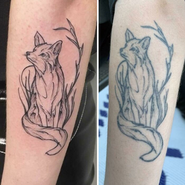 2 Years And 1 Month Old! Some Of The Line Work In The Tail Is Missing Now Because Of Eczema