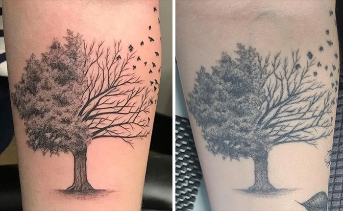Aged tattoo of a tree with birds shows fading and detail loss over time.