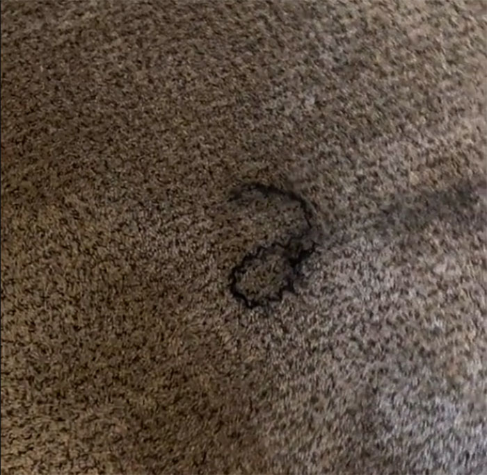 Airbnb Host Is Disgusted With Guest Who Didn't Clean After Themself In The Apartment, Gets Destroyed Online Airbnb Host Is Disgusted With Guest Who Didn't Clean After Themself In The Apartment, Gets Destroyed Online