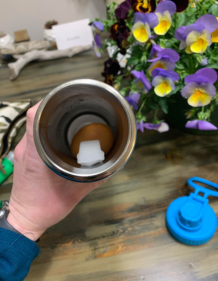 I Put An Egg In The Ice Dispenser, And My Wife Sent Me This. Successful April Fools Day