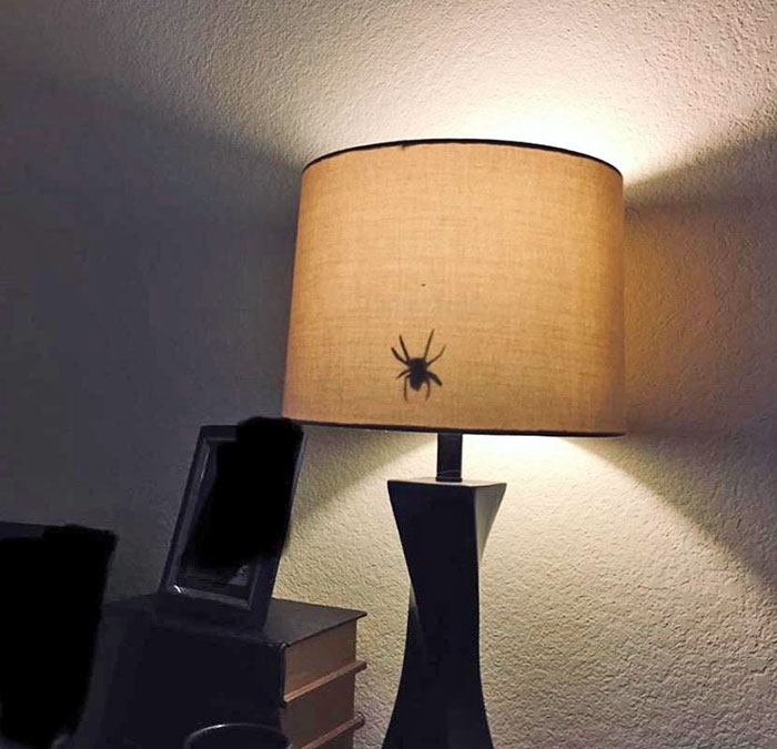 Mom, There's A Spider In The Lamp. April Fools