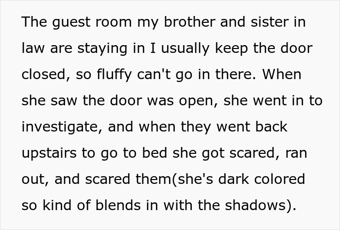 Brother And SIL Come To Visit But Are Upset The Homeowner&rsquo;s Cat Is Free To Walk Around The House As They Get Startled By It