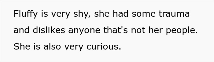 Brother And SIL Come To Visit But Are Upset The Homeowner&rsquo;s Cat Is Free To Walk Around The House As They Get Startled By It