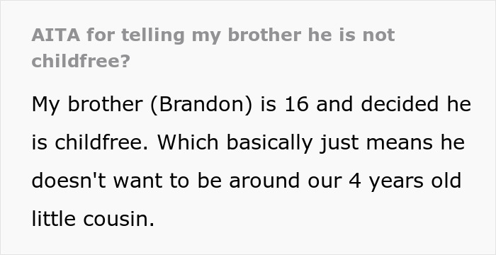Person Wonders Whether It Was OK To Confront Their “Childfree” Sibling For Consistently Mistreating Their Little Cousin Person Wonders Whether It Was OK To Confront Their “Childfree” Sibling For Consistently Mistreating Their Little Cousin