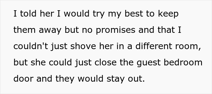 Brother And SIL Come To Visit But Are Upset The Homeowner’s Cat Is Free To Walk Around The House As They Get Startled By It Brother And SIL Come To Visit But Are Upset The Homeowner’s Cat Is Free To Walk Around The House As They Get Startled By It