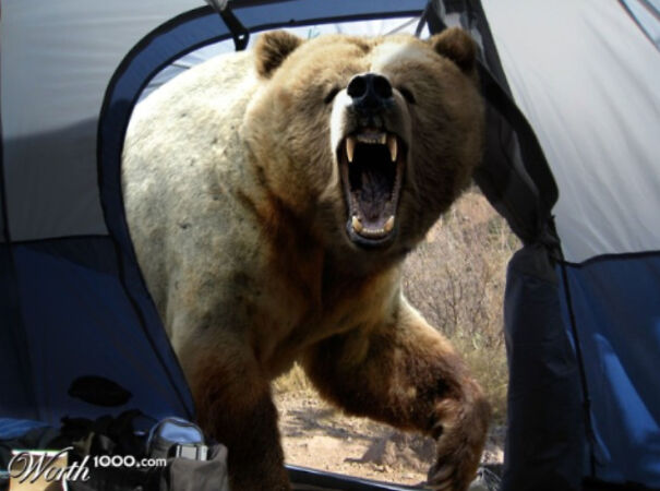 bear-6420946549875-png.jpg
