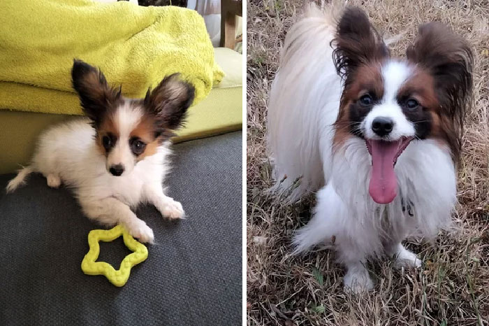 One Day After Adoption, Then Today. Growing So Fast