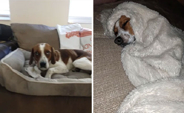 Brady Before And After Adoption