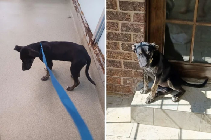 Three Weeks Make A Huge Difference