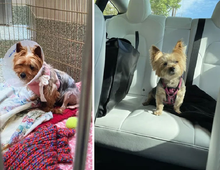 From An Abusive Situation That Landed Her In A Boston Shelter To Living It Up In Socal 6 Years Later…!
