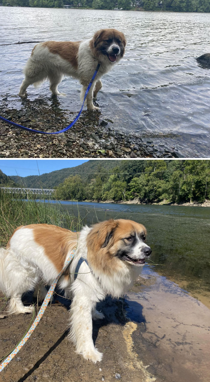 Murphy- Week 1 And 1 Year Later