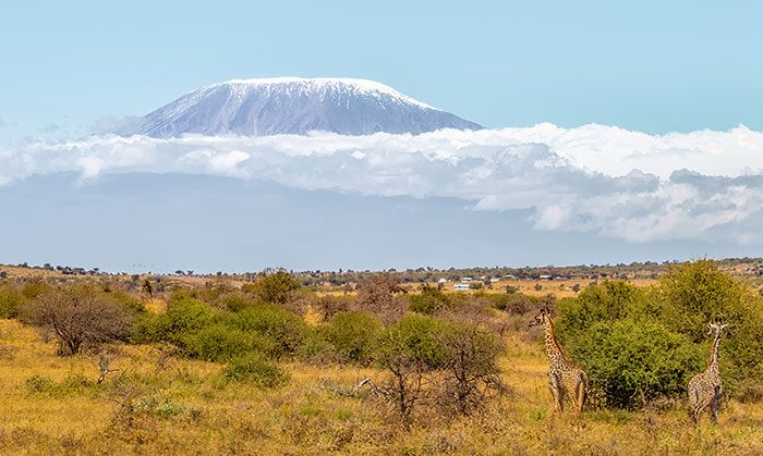 Photo of Mount Kilimanjaro