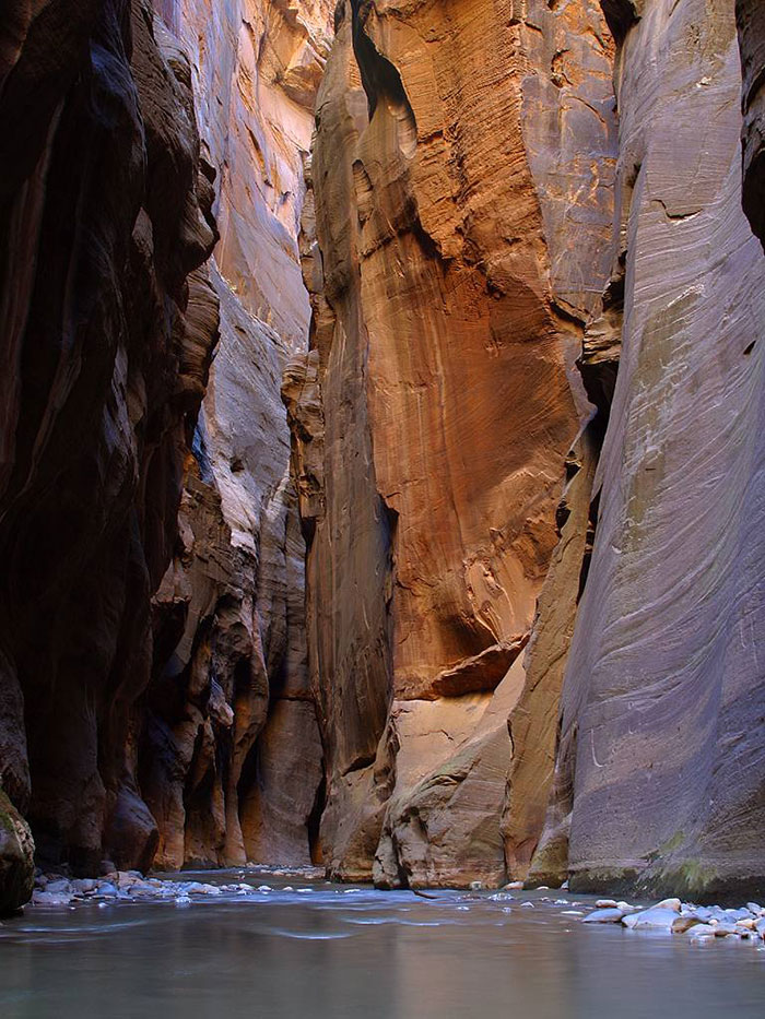 The "Wall Street" section of Zion Narrows in Zion National Park