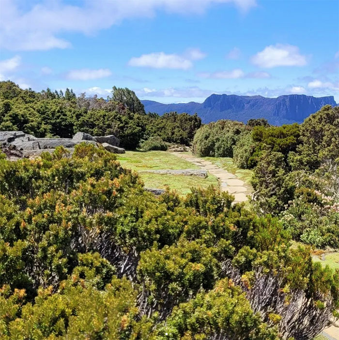 Photo of Tasmanian Overland Track