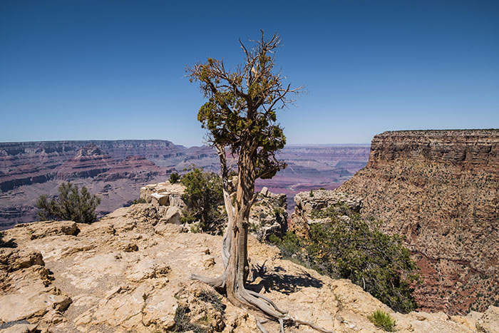 Photo Grand Canyon