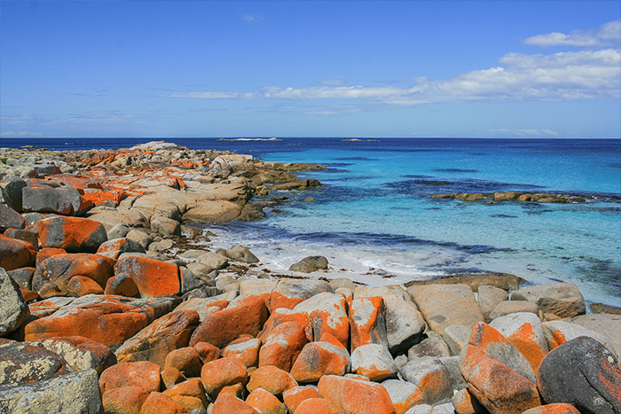 Photo of Bay Of Fires