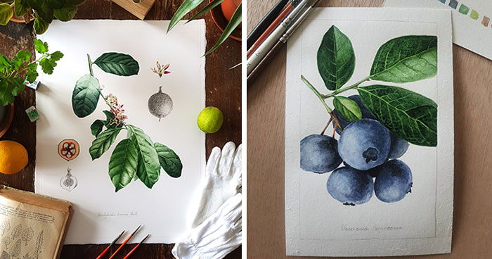 My Botanical Watercolor Illustrations Focus On Plants I Grow In My Own Garden, And Here Are My 37 Best Works
