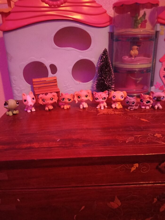 Littlest Pet Shops! (Lps) I Have Over 150 In My Collection! I Know Thats Nothing Lol